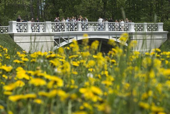 Big Lamsky bridge in Tsarskoye Selo museum and reserve