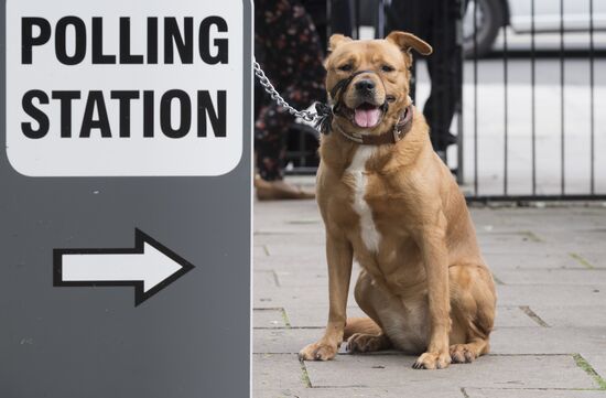 United Kingdom general election