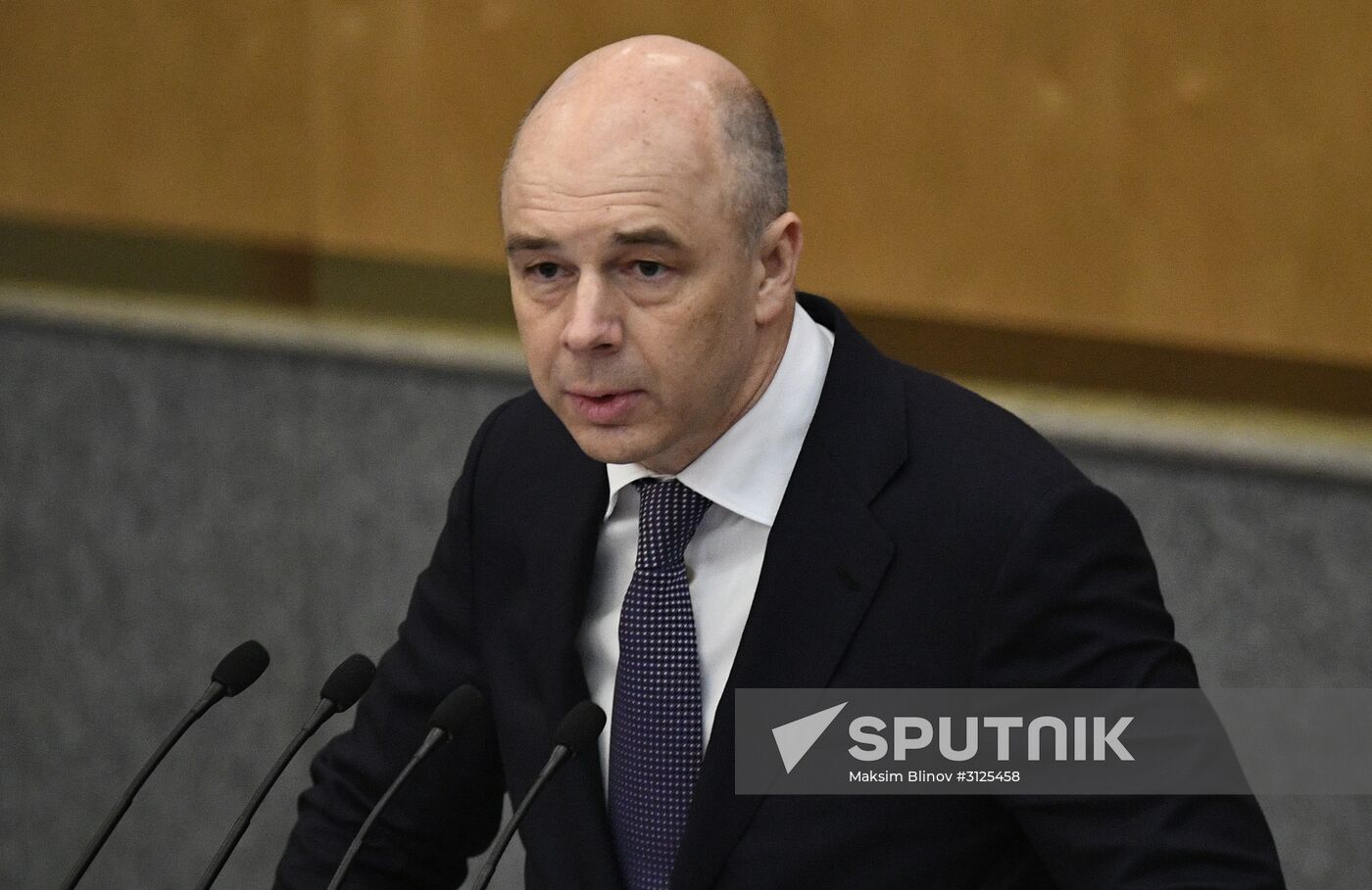 State Duma plenary session