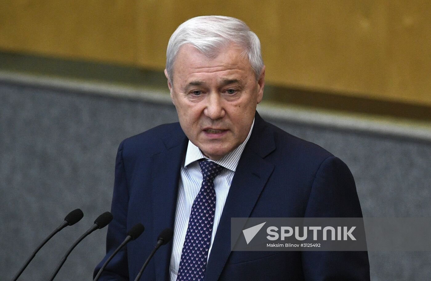 State Duma plenary meeting