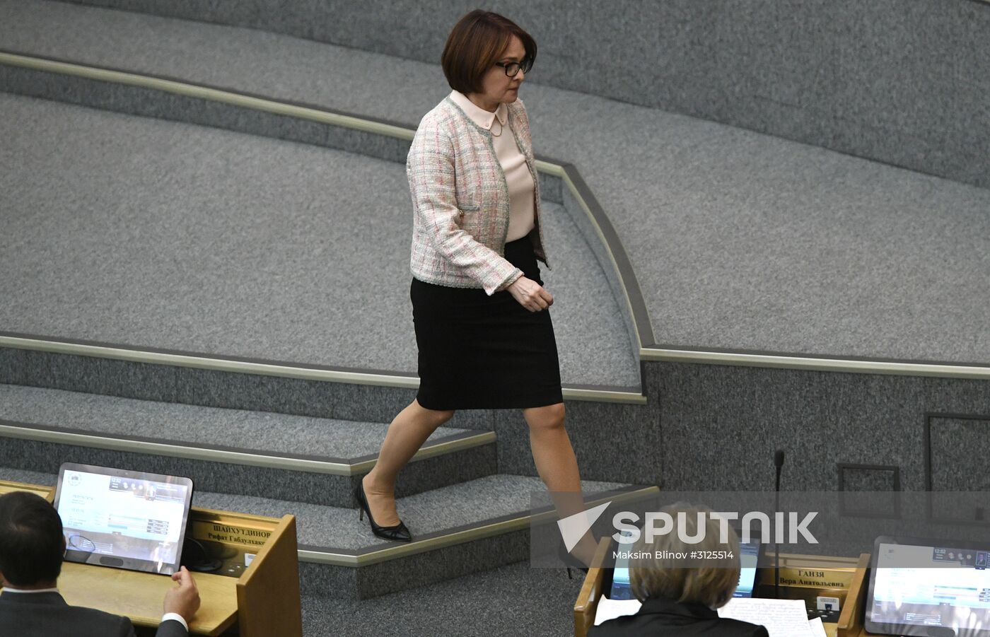 State Duma plenary meeting