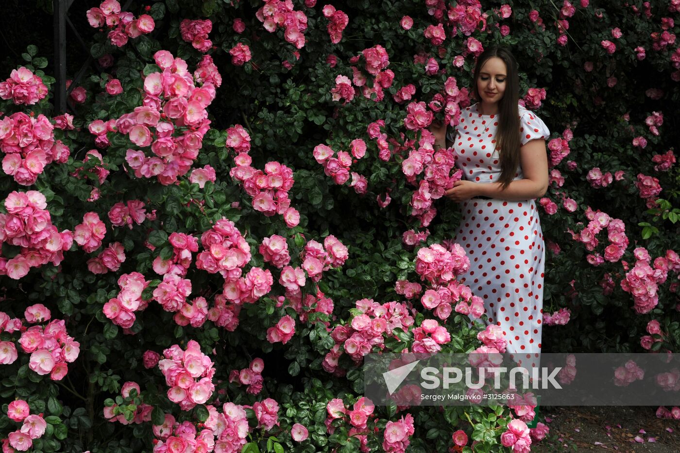 Rose Waltz, Dinosaurs in Crimea exhibitions unveiled in Nikitsky Botanical Garden