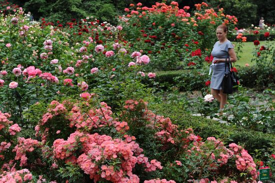 Rose Waltz, Dinosaurs in Crimea exhibitions unveiled in Nikitsky Botanical Garden