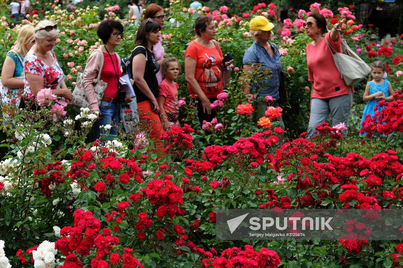 Rose Waltz, Dinosaurs in Crimea exhibitions unveiled in Nikitsky Botanical Garden