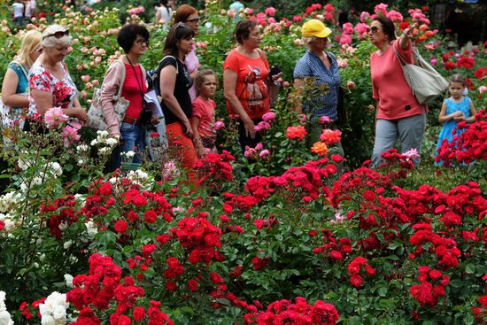 Rose Waltz, Dinosaurs in Crimea exhibitions unveiled in Nikitsky Botanical Garden