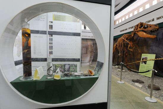 Rose Waltz, Dinosaurs in Crimea exhibitions unveiled in Nikitsky Botanical Garden