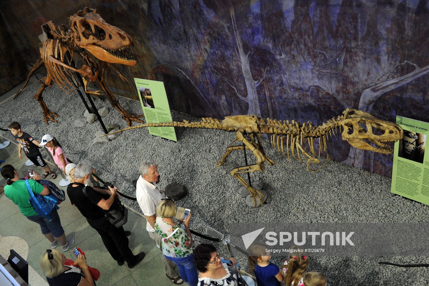 Rose Waltz, Dinosaurs in Crimea exhibitions unveiled in Nikitsky Botanical Garden