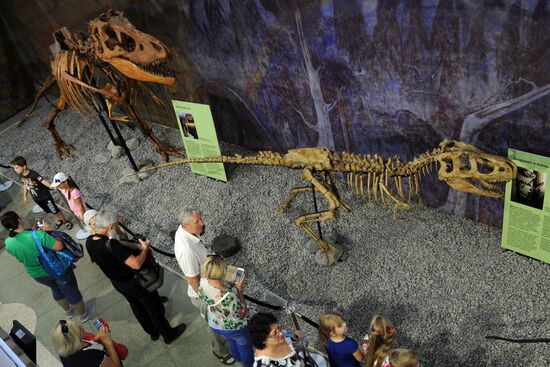 Rose Waltz, Dinosaurs in Crimea exhibitions unveiled in Nikitsky Botanical Garden