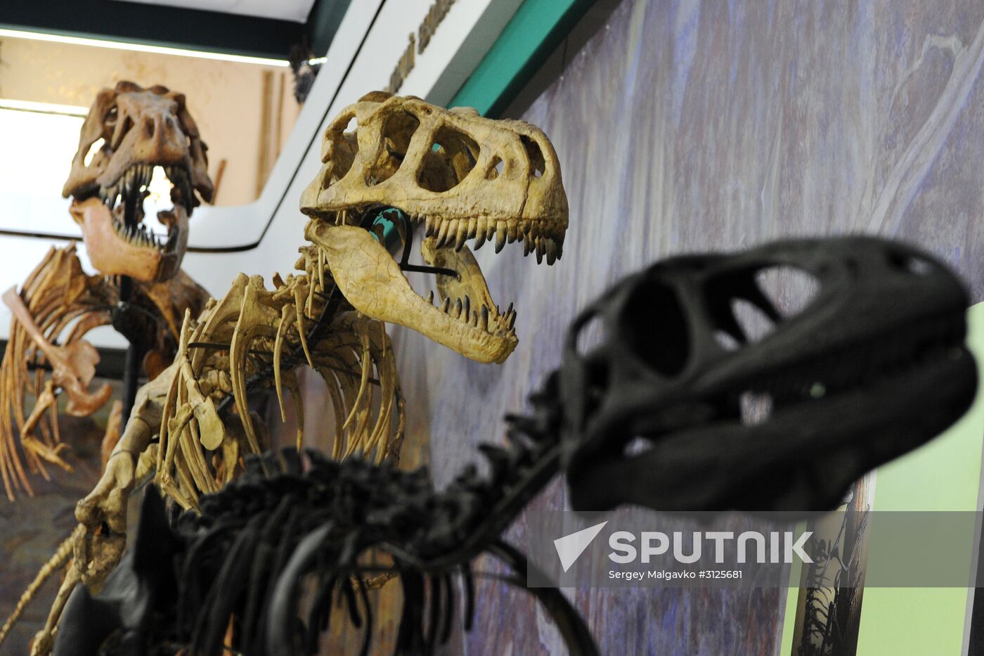 Rose Waltz, Dinosaurs in Crimea exhibitions unveiled in Nikitsky Botanical Garden
