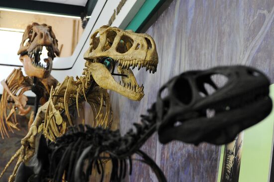 Rose Waltz, Dinosaurs in Crimea exhibitions unveiled in Nikitsky Botanical Garden