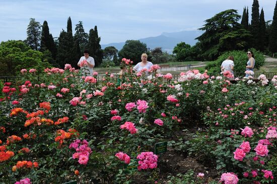 Rose Waltz, Dinosaurs in Crimea exhibitions unveiled in Nikitsky Botanical Garden