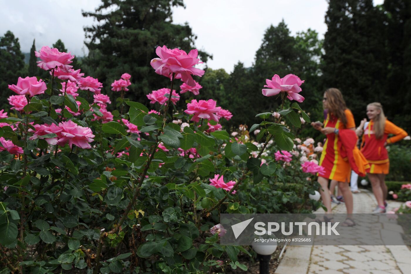 Rose Waltz, Dinosaurs in Crimea exhibitions unveiled in Nikitsky Botanical Garden