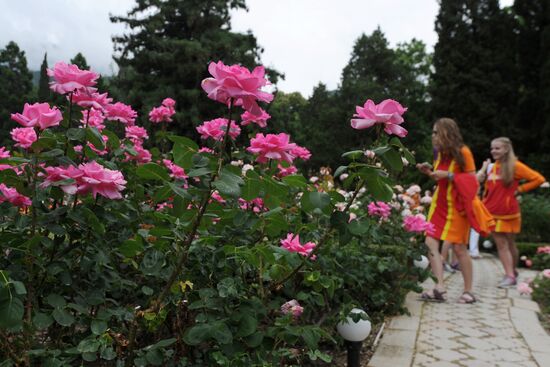 Rose Waltz, Dinosaurs in Crimea exhibitions unveiled in Nikitsky Botanical Garden