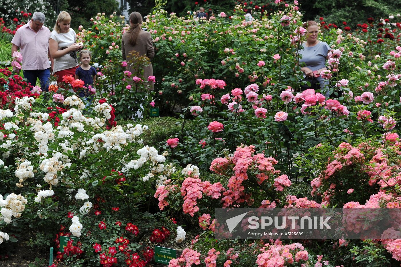 Rose Waltz, Dinosaurs in Crimea exhibitions unveiled in Nikitsky Botanical Garden