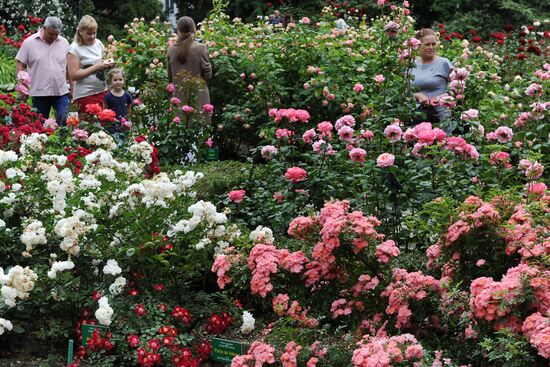 Rose Waltz, Dinosaurs in Crimea exhibitions unveiled in Nikitsky Botanical Garden