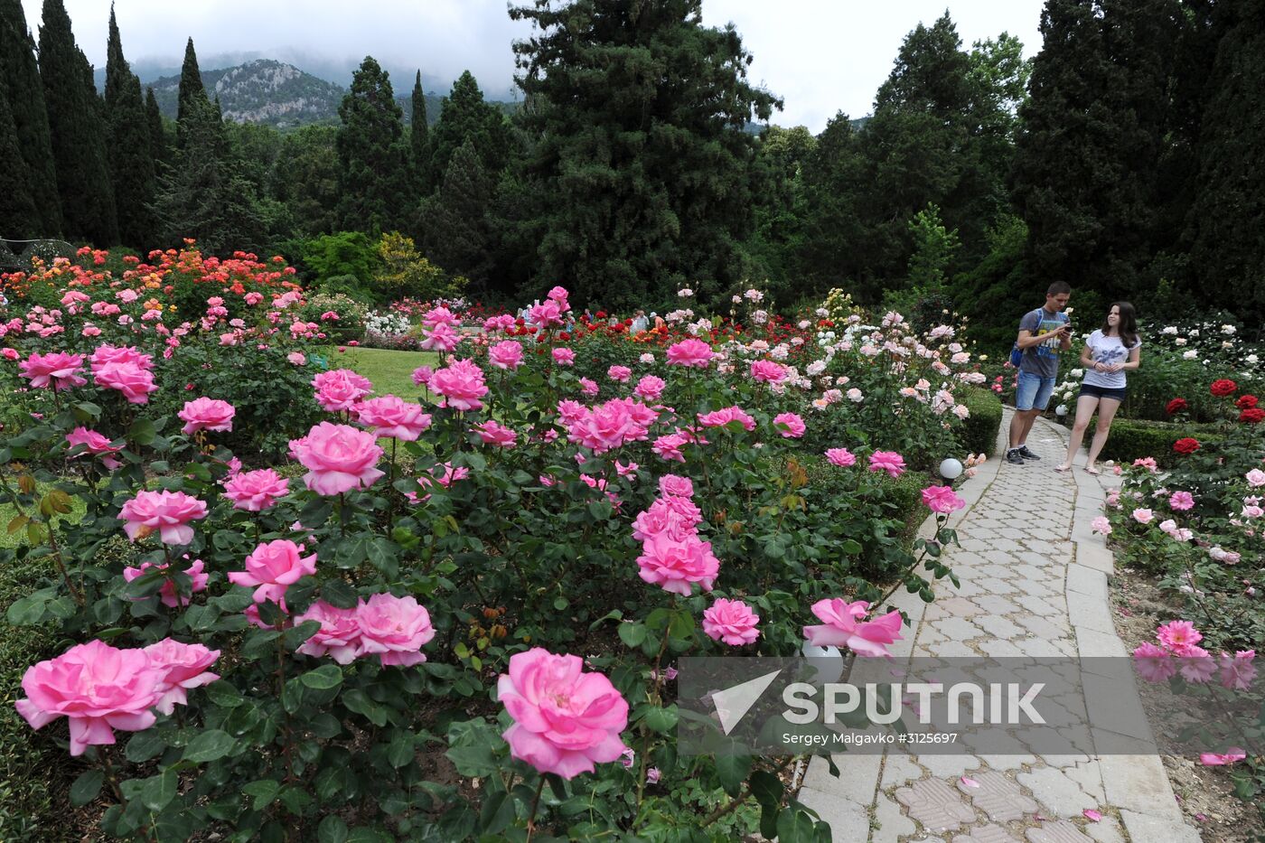 Rose Waltz, Dinosaurs in Crimea exhibitions unveiled in Nikitsky Botanical Garden