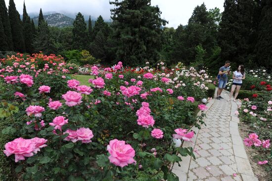 Rose Waltz, Dinosaurs in Crimea exhibitions unveiled in Nikitsky Botanical Garden