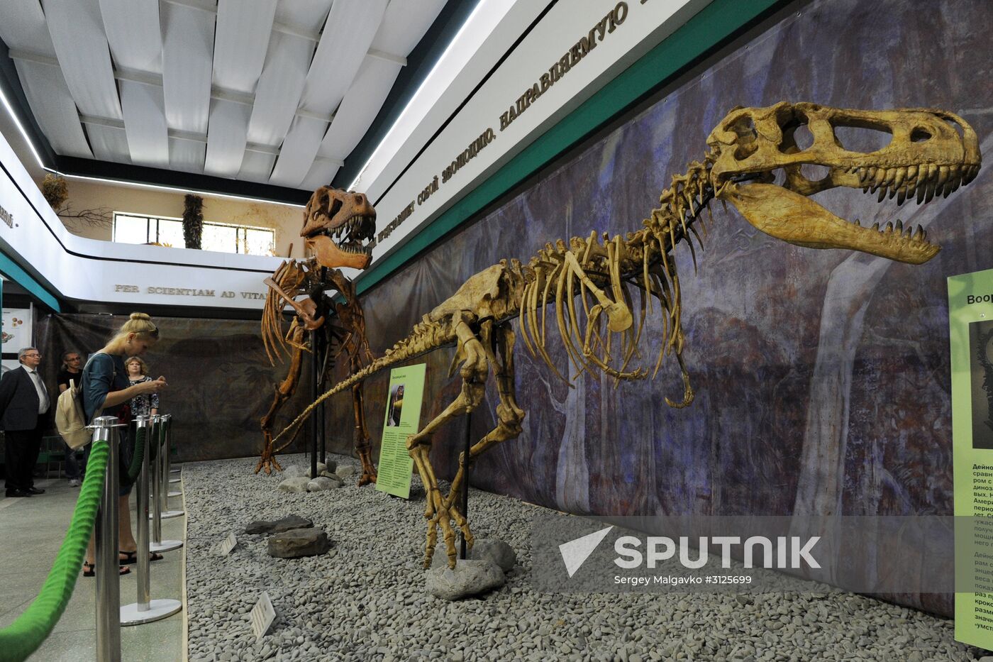 Rose Waltz, Dinosaurs in Crimea exhibitions unveiled in Nikitsky Botanical Garden