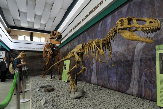 Rose Waltz, Dinosaurs in Crimea exhibitions unveiled in Nikitsky Botanical Garden