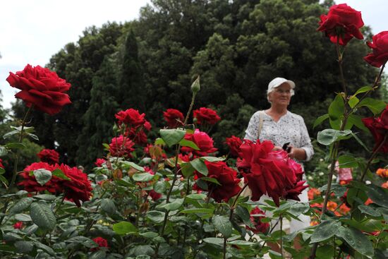 Rose Waltz, Dinosaurs in Crimea exhibitions unveiled in Nikitsky Botanical Garden