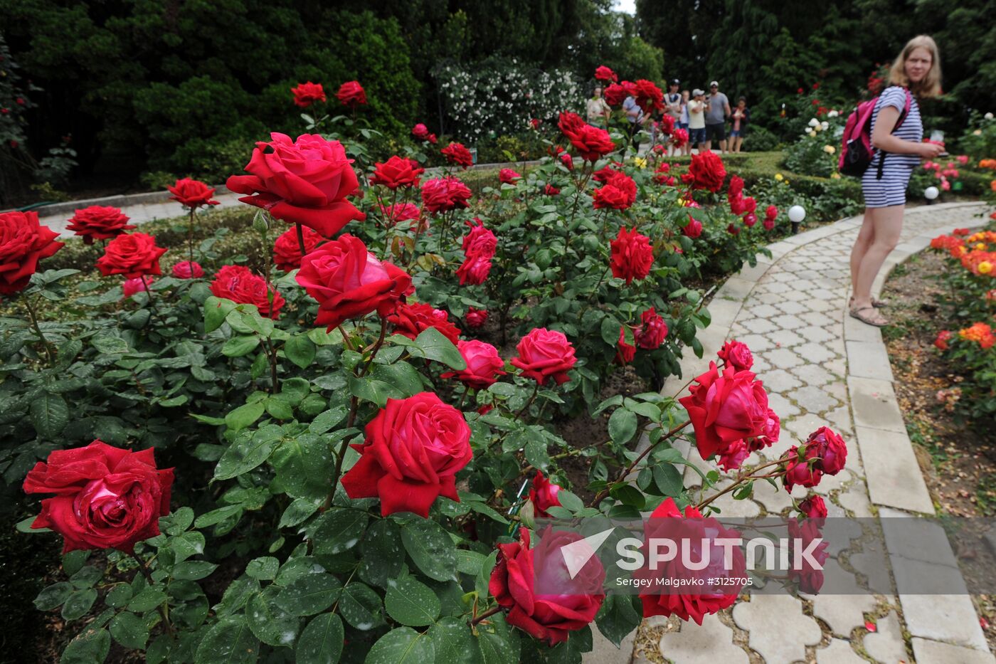 Rose Waltz, Dinosaurs in Crimea exhibitions unveiled in Nikitsky Botanical Garden