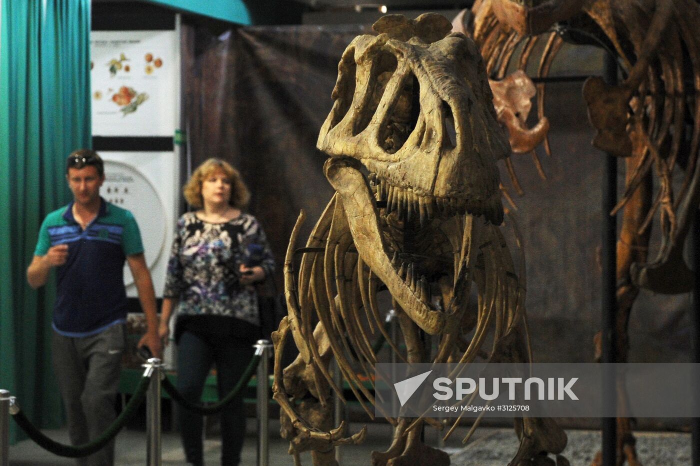 Rose Waltz, Dinosaurs in Crimea exhibitions unveiled in Nikitsky Botanical Garden