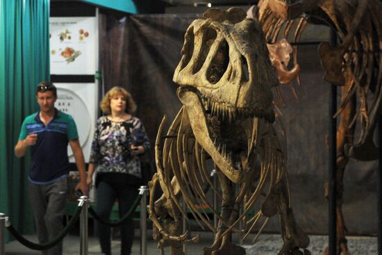 Rose Waltz, Dinosaurs in Crimea exhibitions unveiled in Nikitsky Botanical Garden