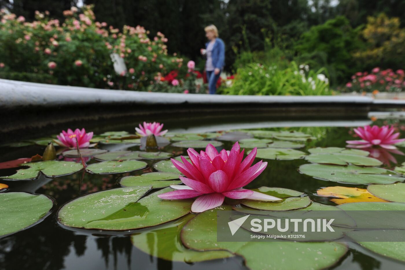 Rose Waltz, Dinosaurs in Crimea exhibitions unveiled in Nikitsky Botanical Garden