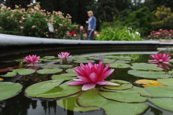 Rose Waltz, Dinosaurs in Crimea exhibitions unveiled in Nikitsky Botanical Garden