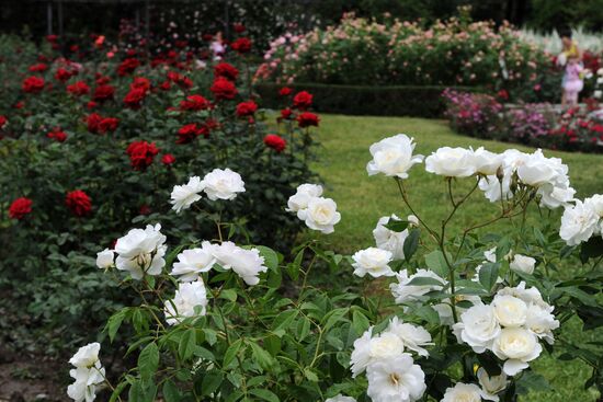 Rose Waltz, Dinosaurs in Crimea exhibitions unveiled in Nikitsky Botanical Garden