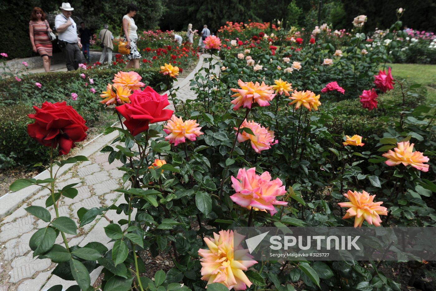 Rose Waltz, Dinosaurs in Crimea exhibitions unveiled in Nikitsky Botanical Garden