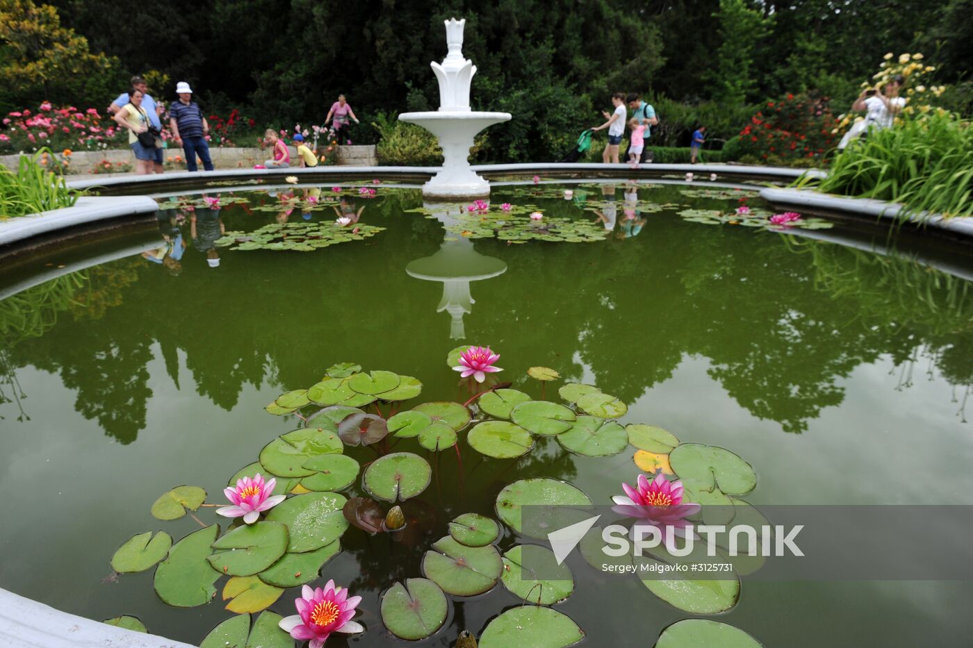 Rose Waltz, Dinosaurs in Crimea exhibitions unveiled in Nikitsky Botanical Garden