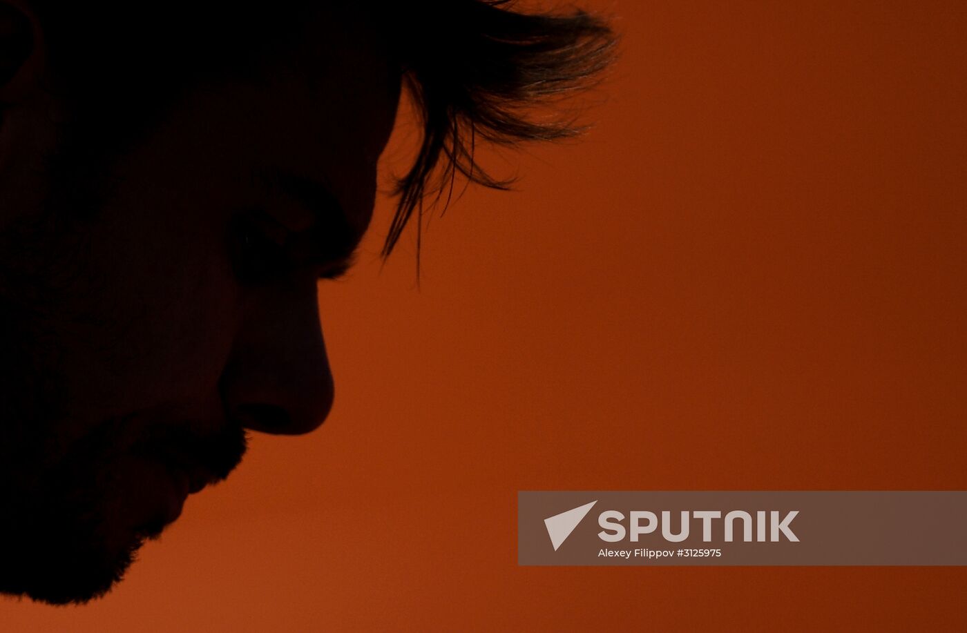 Tennis. Rolland Garros. Day Thirteen