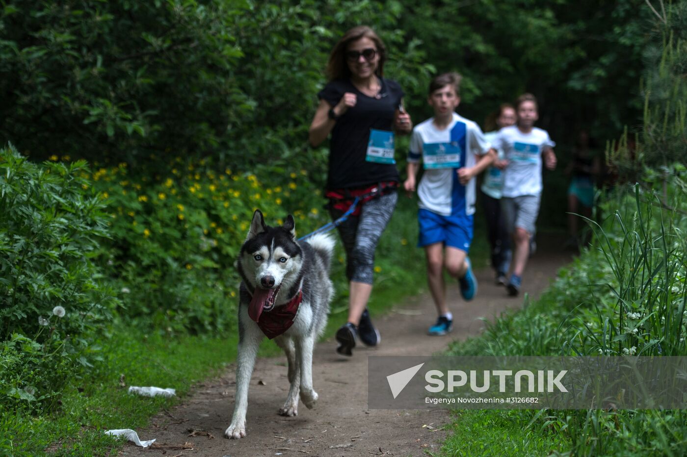 Furry Race
