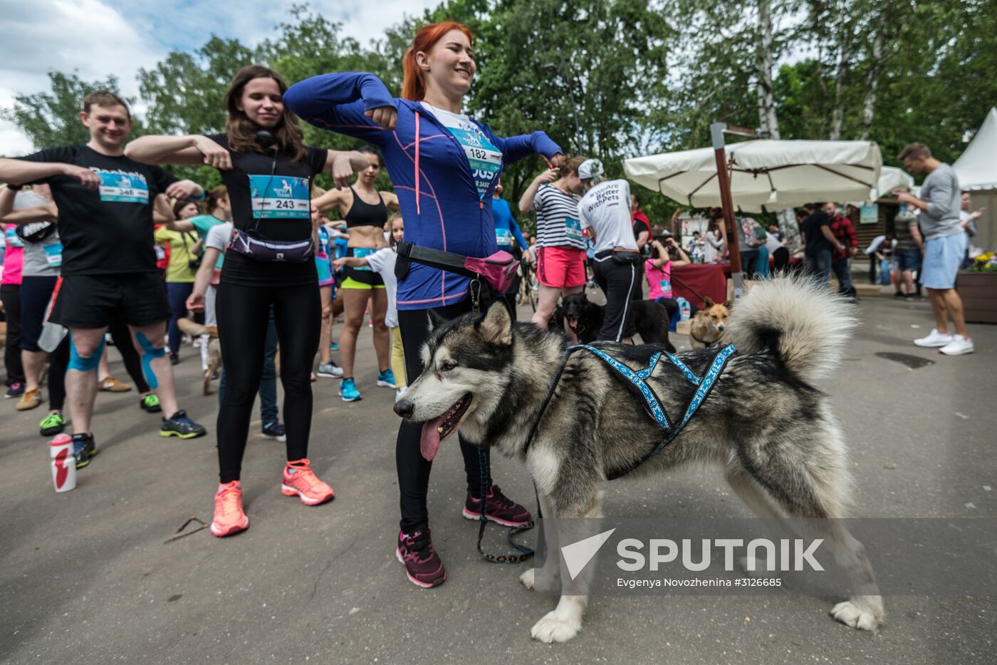 Furry Race