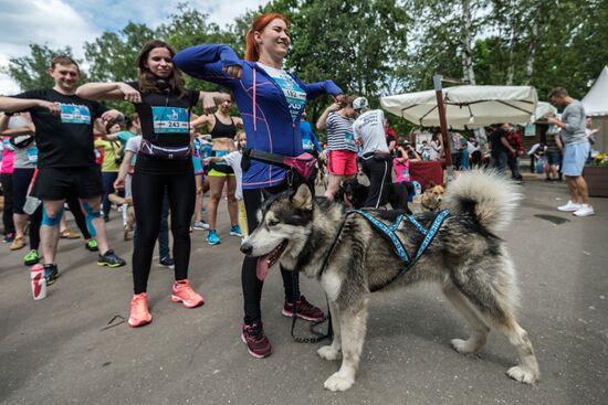 Furry Race