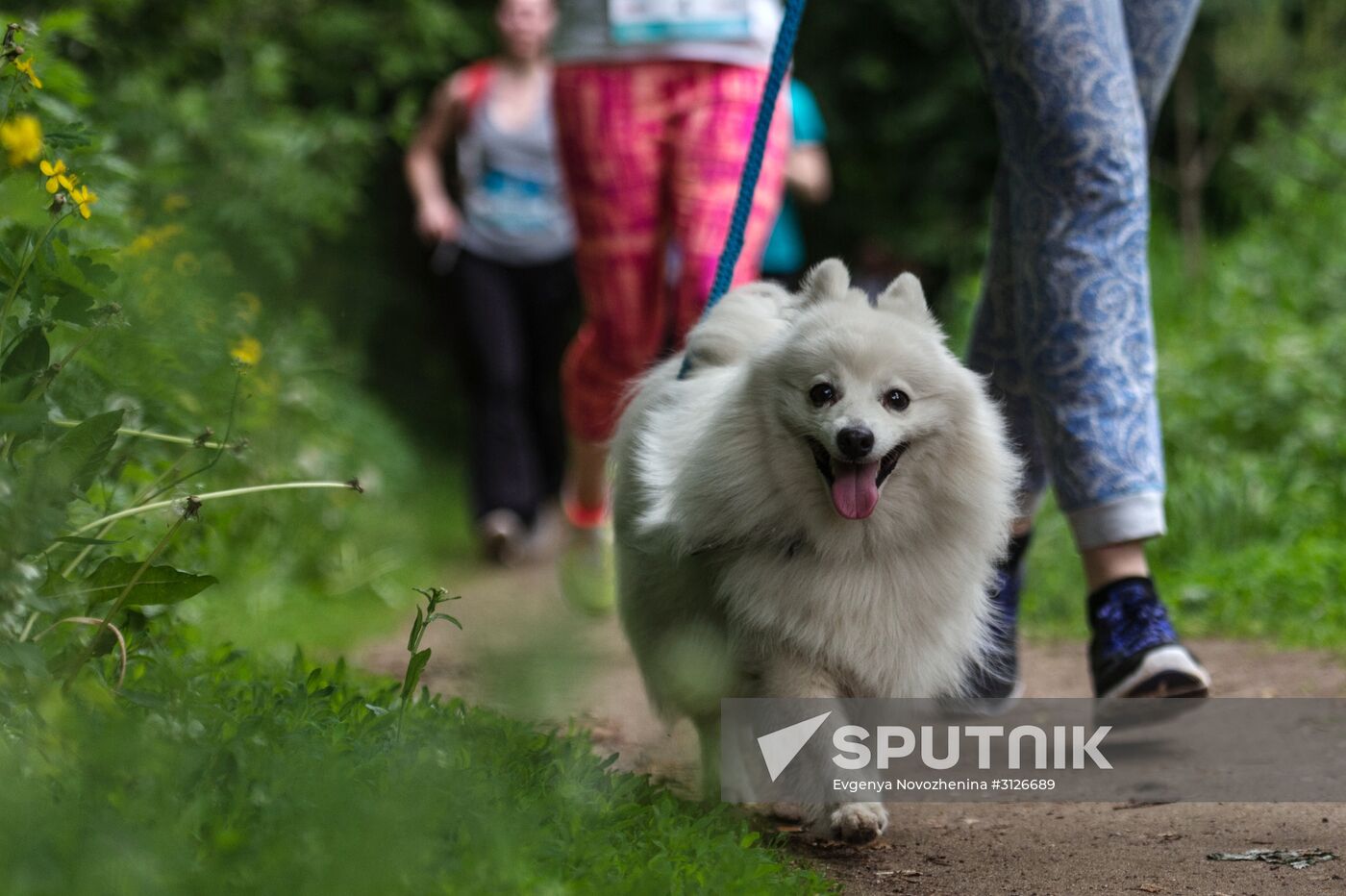 Furry Race
