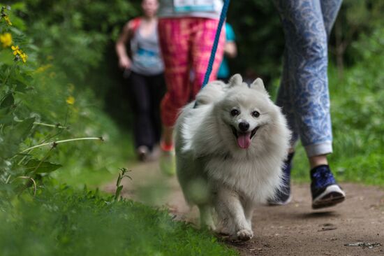 Furry Race