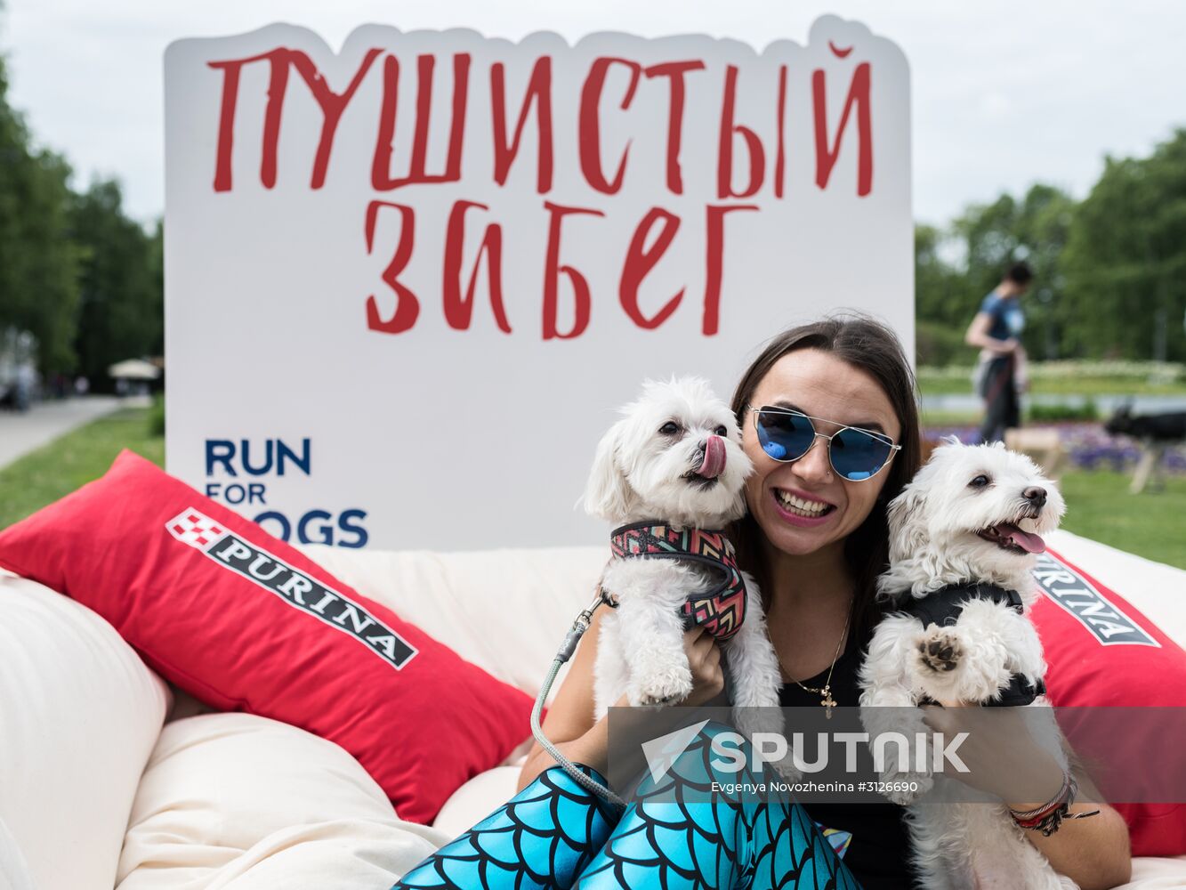 Furry Race