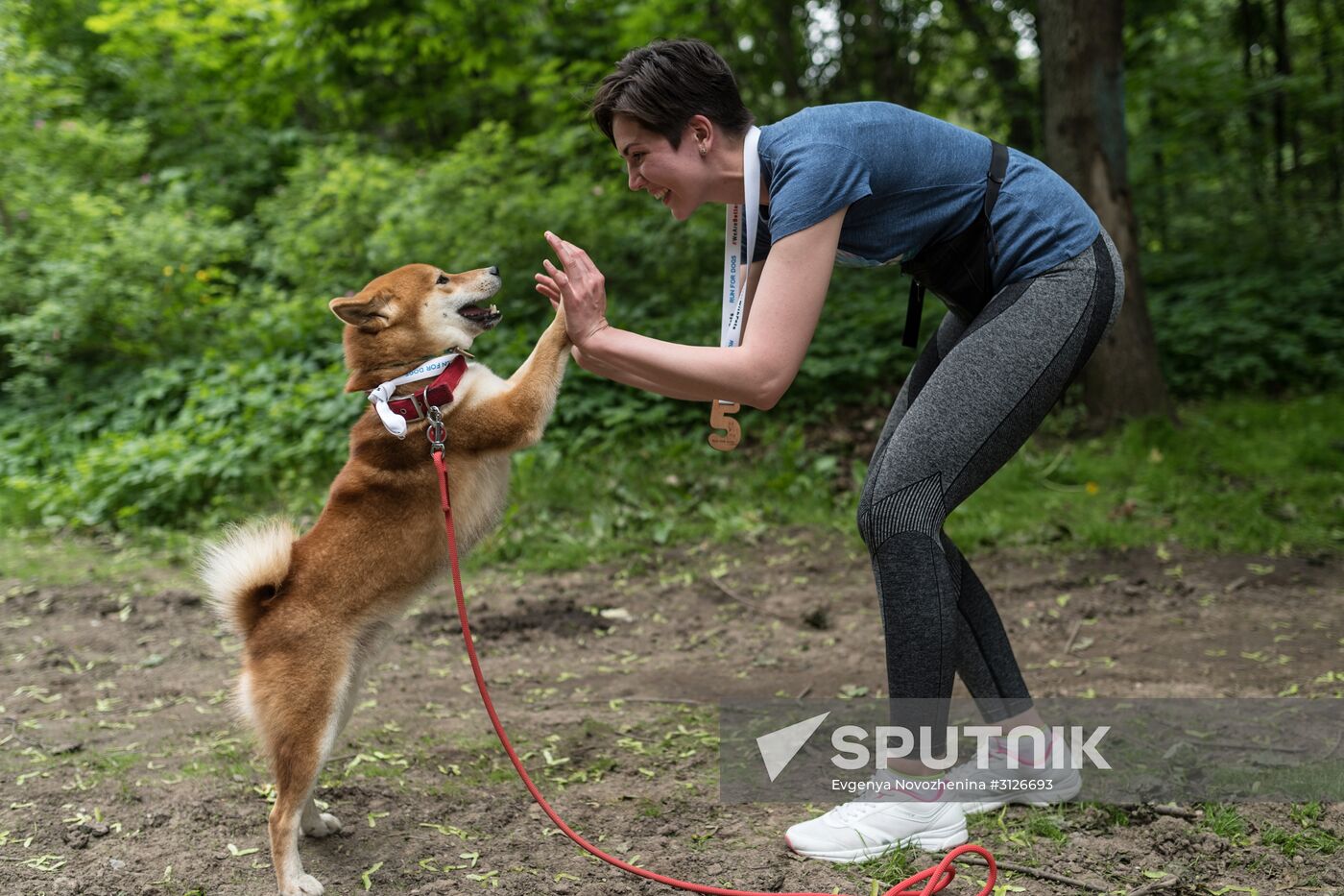 Furry Race