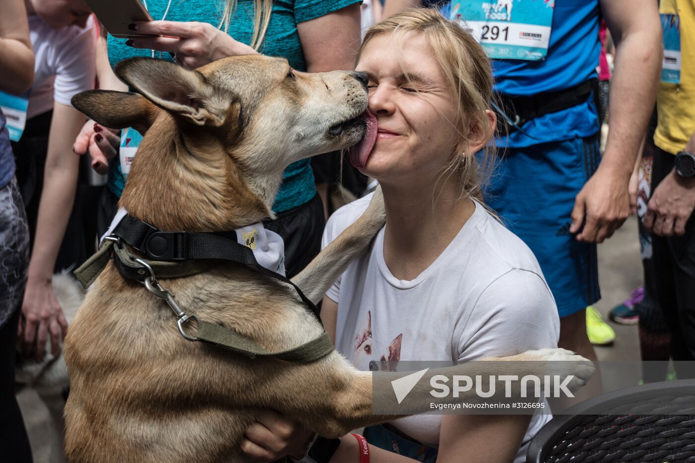 Furry Race