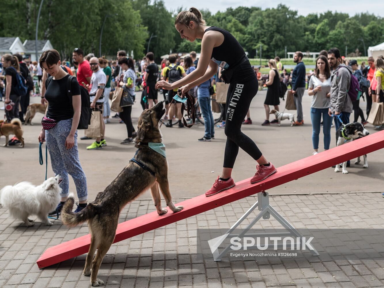 Furry Race