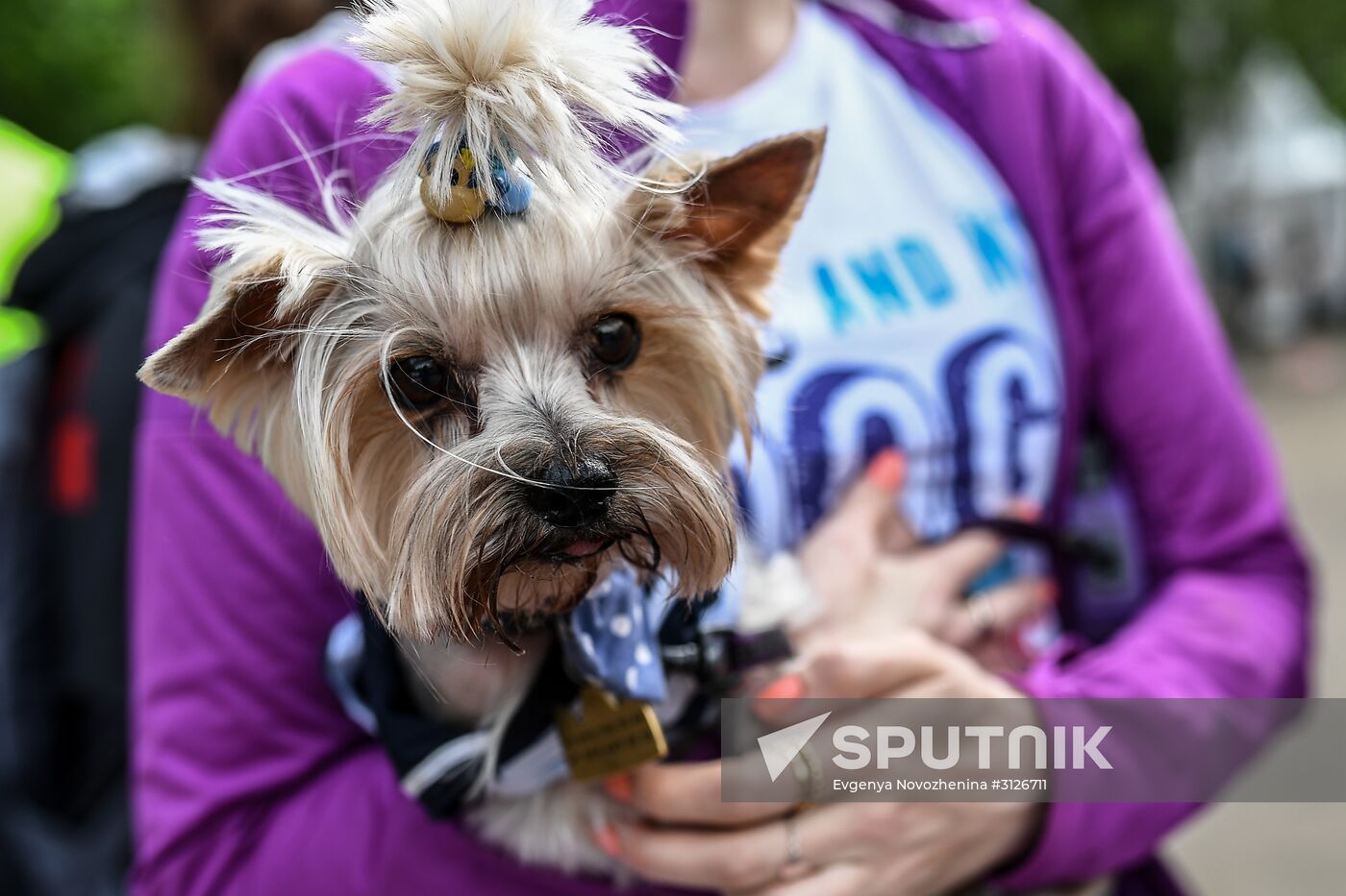 Furry Race