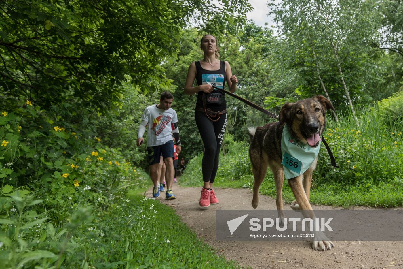 Furry Race