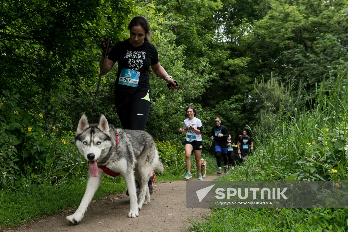 Furry Race