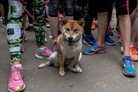 Furry Race