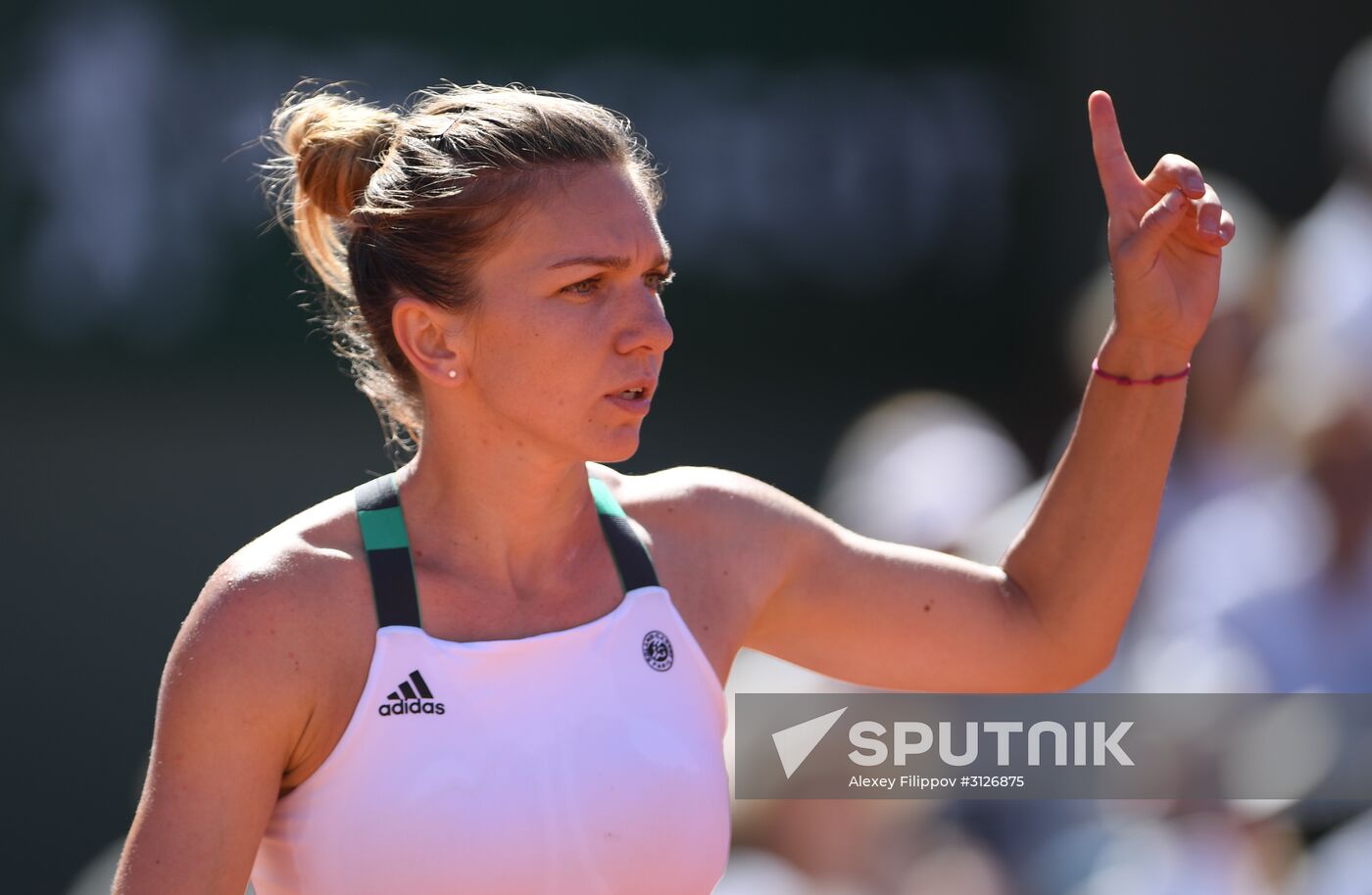 Tennis. Roland Garros. Day Fourteen