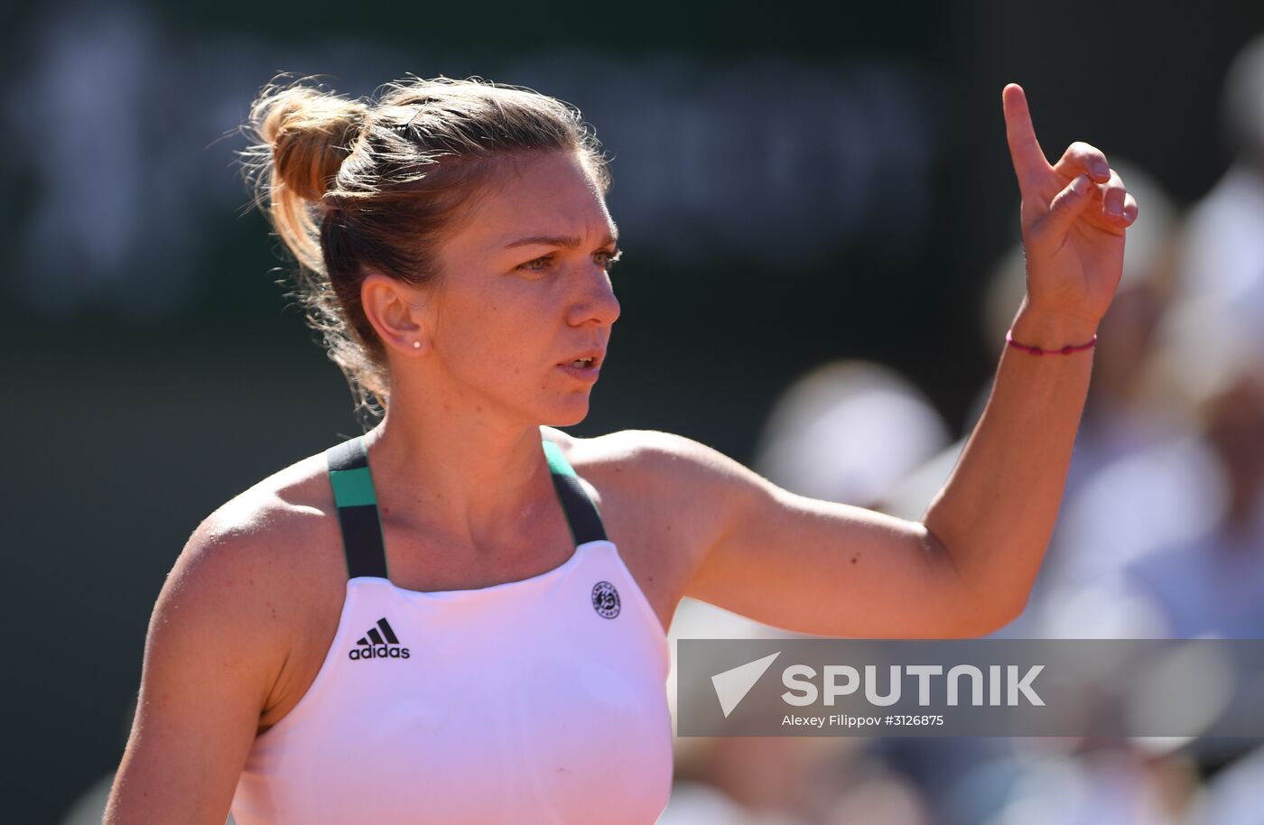 Tennis. Roland Garros. Day Fourteen