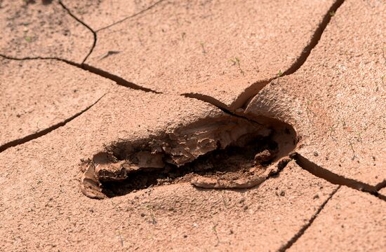 Heroes Race in Kazan