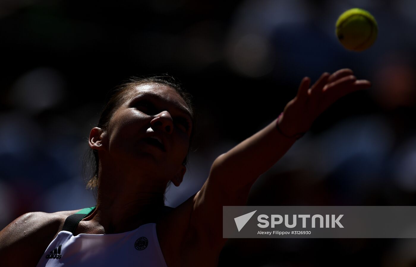 Tennis. Roland Garros. Day Fourteen